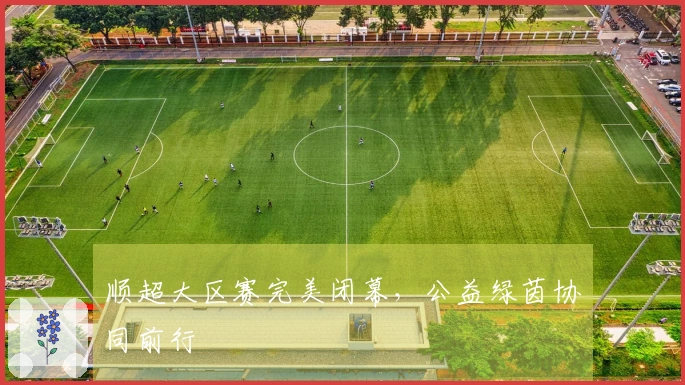 顺超大区赛完美闭幕，公益绿茵协同前行