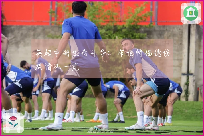 英超中游生存斗争：布伦特福德伤病情况一览